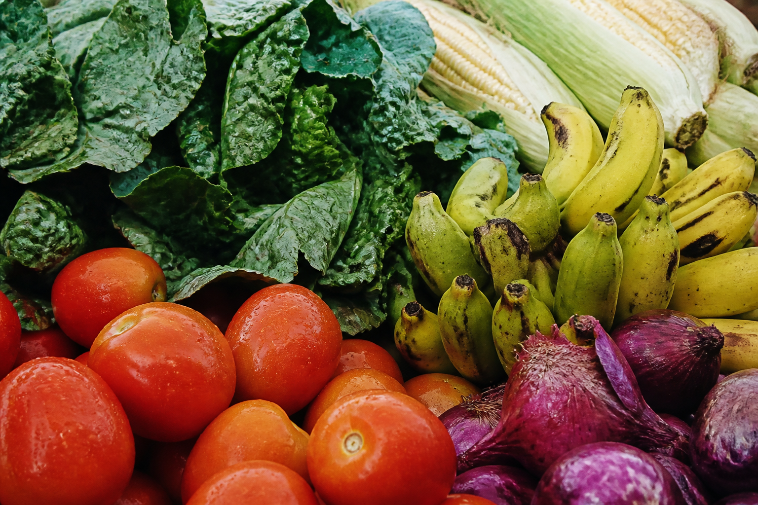 Stock photograph of harvest produce — food already moves